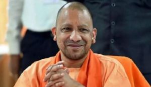 yogi