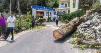 जिला प्रशासन और विद्युत विभाग की सक्रियता से अधिकांश क्षेत्रों में बिजली आपूर्ति बहाल