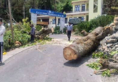 जिला प्रशासन और विद्युत विभाग की सक्रियता से अधिकांश क्षेत्रों में बिजली आपूर्ति बहाल