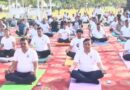 योग की छांव में विकास का संकल्प: सिटी फॉरेस्ट पार्क में उमड़ा जनसैलाब, 1000 से अधिक लोगों ने किया योग
