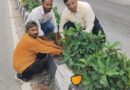 सीएम पुष्कर सिंह धामी के विजन को मिली रफ्तार, बंशीधर तिवारी के नेतृत्व में हरा-भरा हो रहा दून