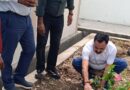 हरेला पर्व पर पेयजल निगम का हरित अभियान, मुख्य अभियंता संजय सिंह के नेतृत्व में  निगम कर्मियों ने लगाए 500 पौधे